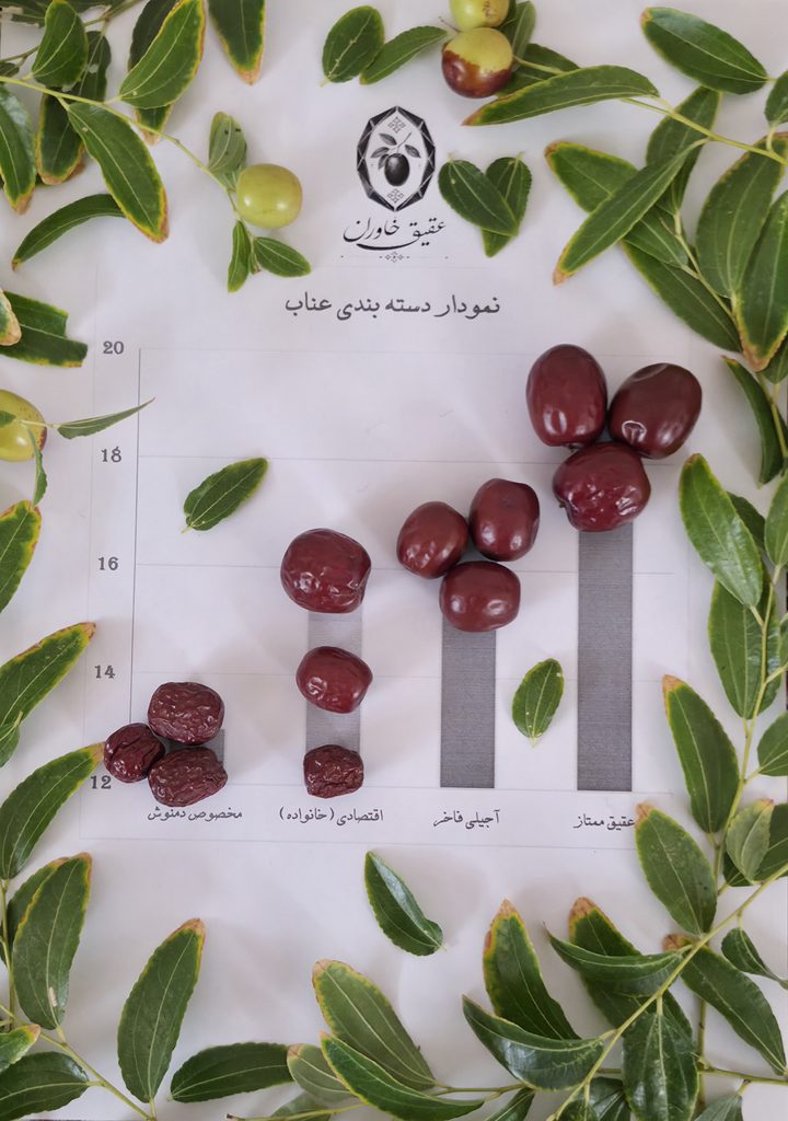 عقیق خاوران | دسته بندی عناب